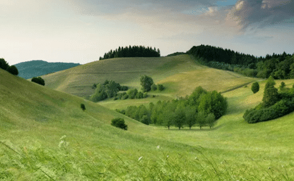 project_overview_img